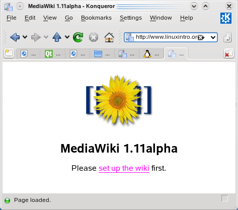 Snapshot-mediawiki-setup.png